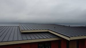 Best Solar Panel Roofing Installation  in Wales, WI